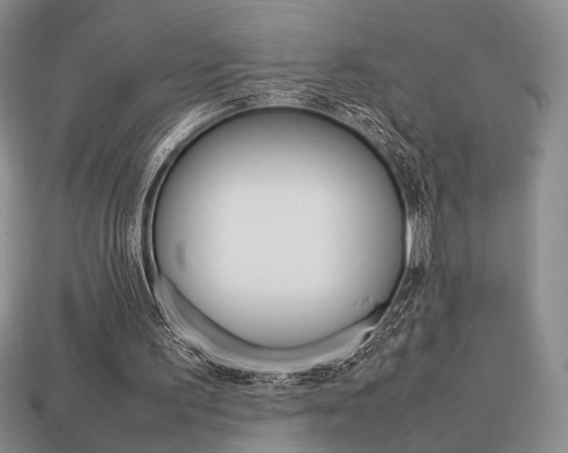 X0000113850195200909241012