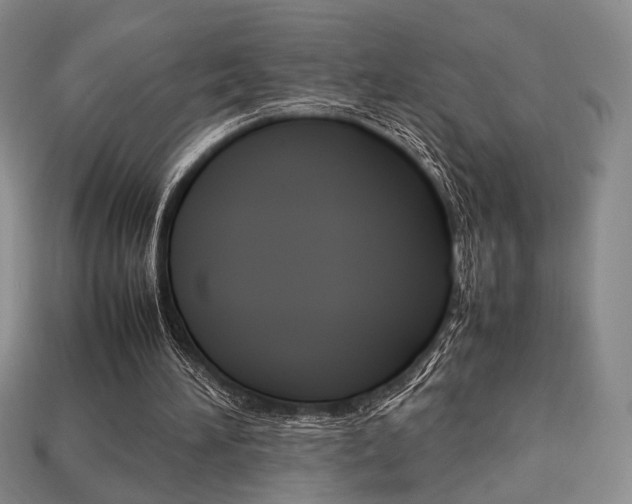 X0000113850196200909241012