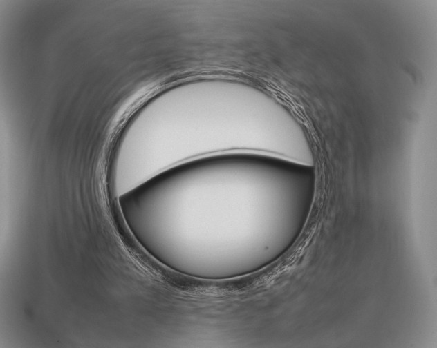 X0000113850197200909241012