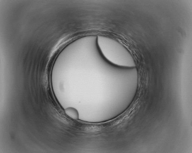 X0000113850198200909241012