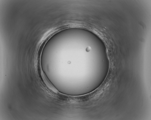 X0000113850199200909241012