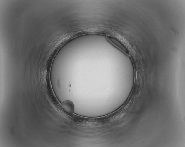 X0000113850201200909241012