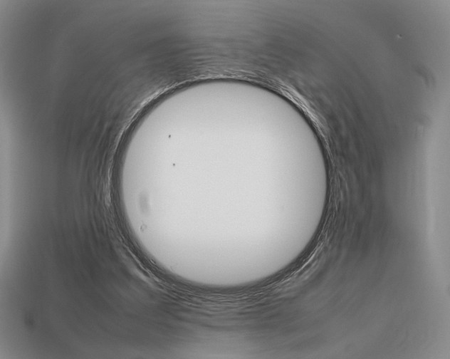 X0000113850203200909241012