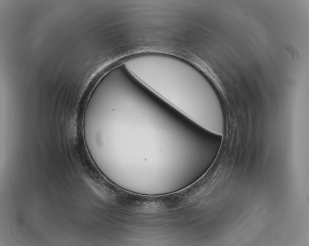 X0000113850204200909241012