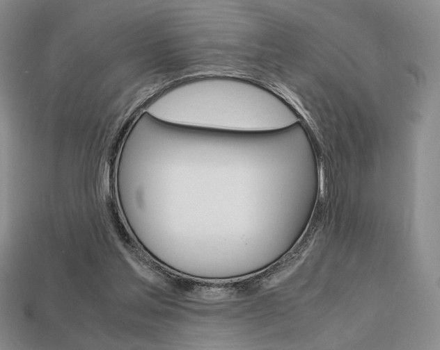 X0000113850205200909241012