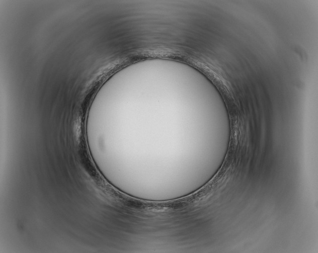 X0000113850206200909241012