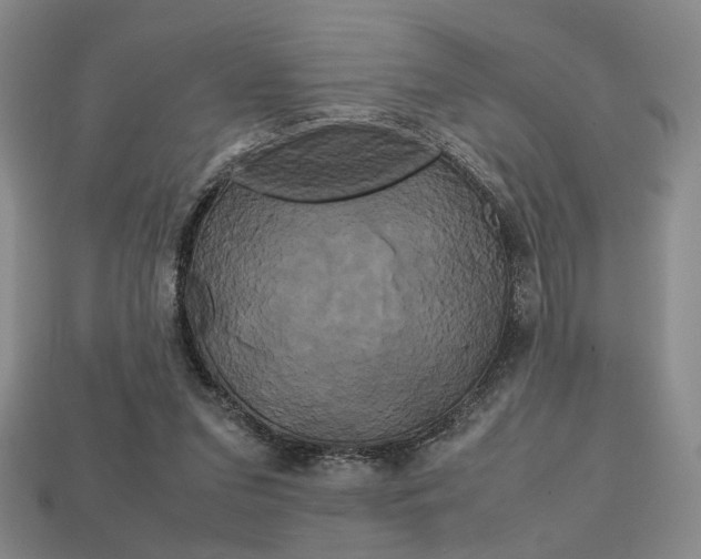 X0000113850207200909241012