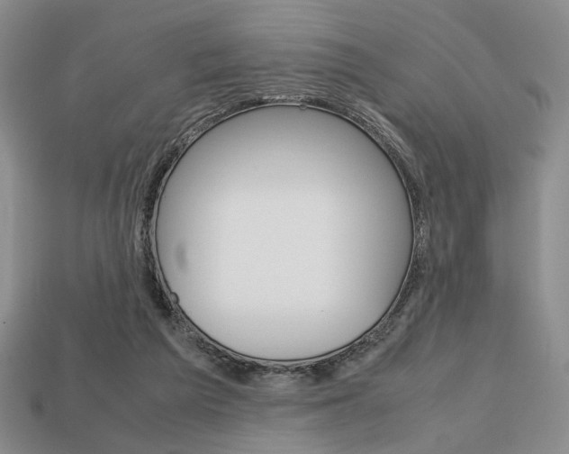 X0000113850209200909241012