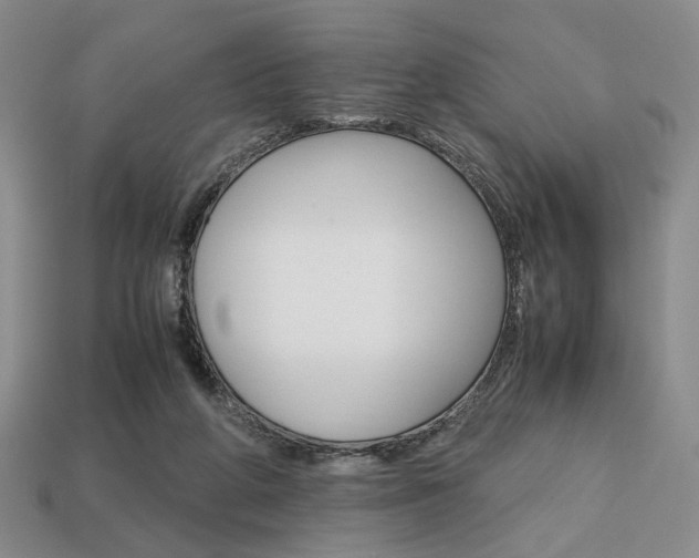 X0000113850210200909241012