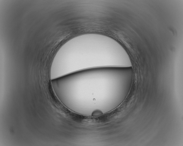 X0000113850211200909241012