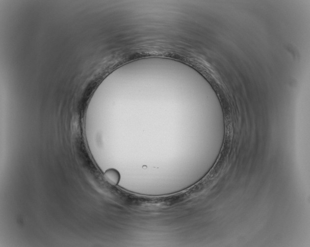 X0000113850213200909241012