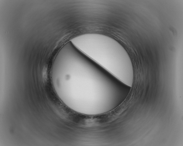 X0000113850216200909241012