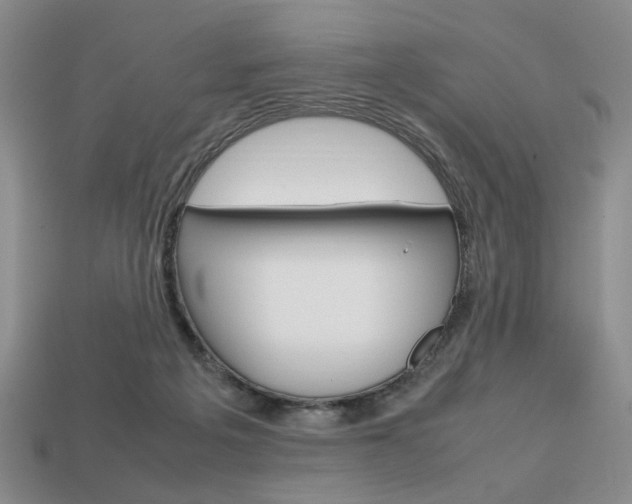 X0000113850217200909241012