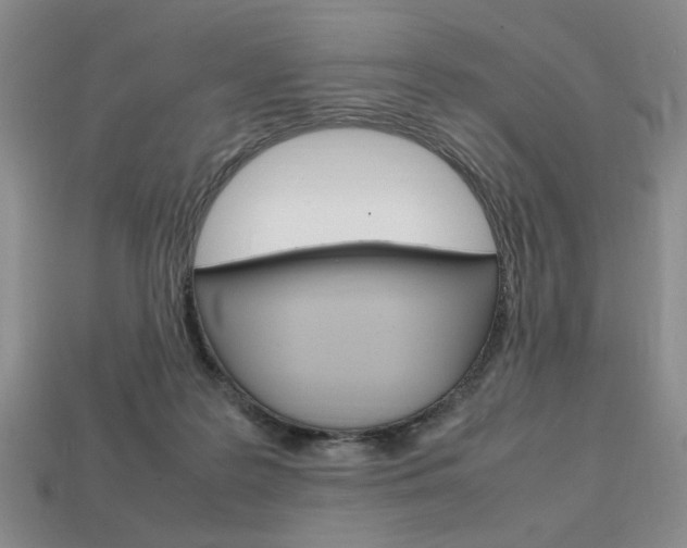 X0000113850219200909241012