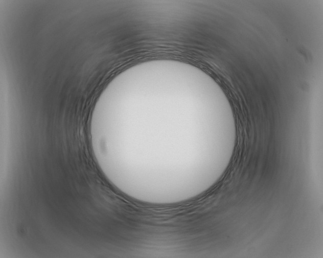 X0000113850221200909241012