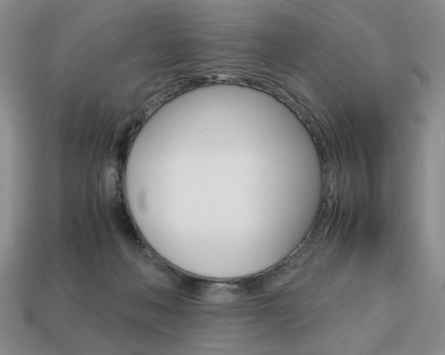 X0000113850222200909241012