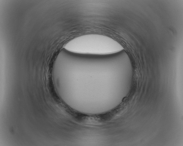 X0000113850223200909241012