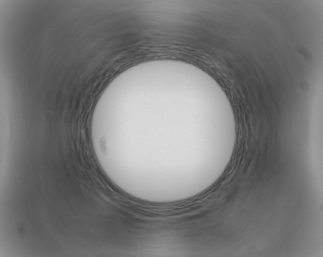 X0000113850225200909241012