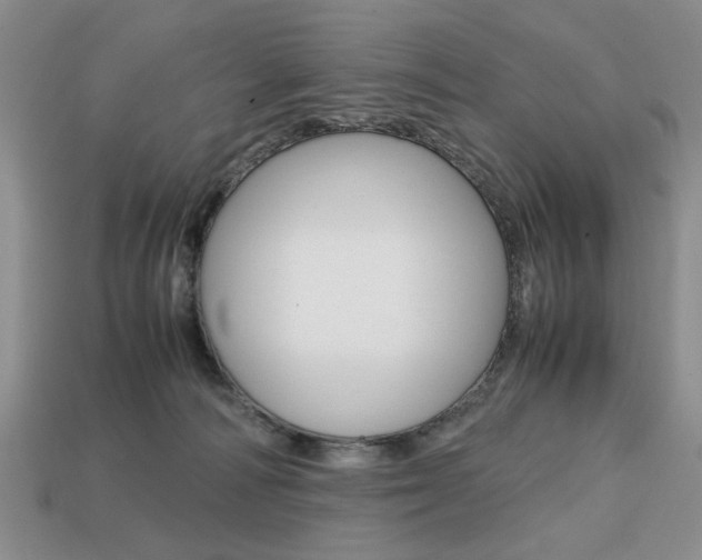 X0000113850226200909241012