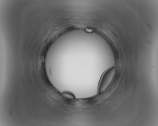 X0000113850229200909241012