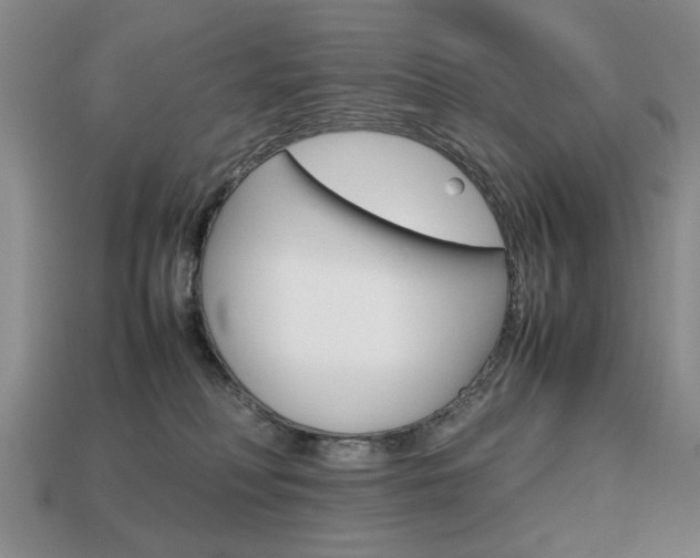 X0000113850230200909241012