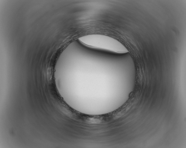 X0000113850232200909241012