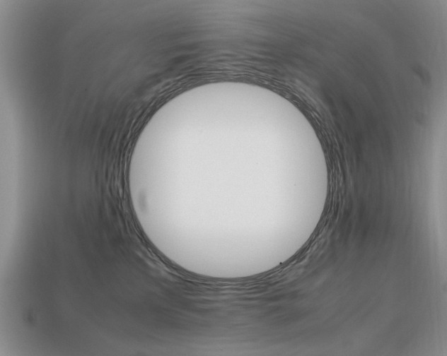 X0000113850233200909241012