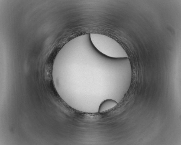 X0000113850234200909241012