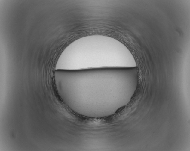 X0000113850235200909241012