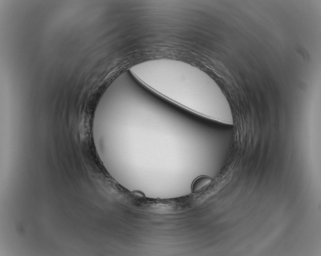 X0000113850236200909241012