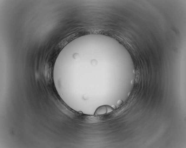 X0000113850238200909241012