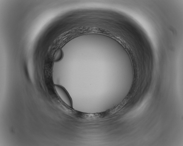 X0000113850239200909241012