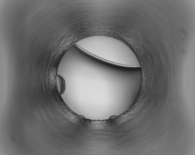 X0000113850240200909241012