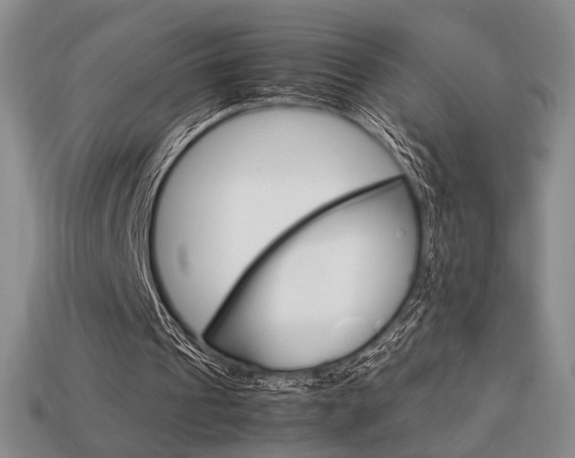 X0000113850241200909241011