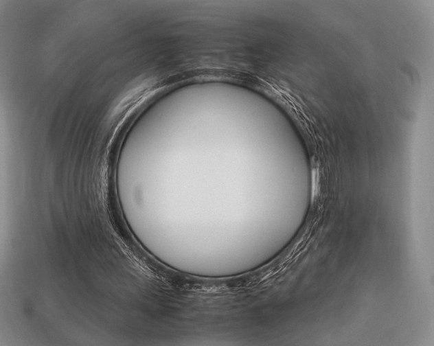 X0000113850243200909241011