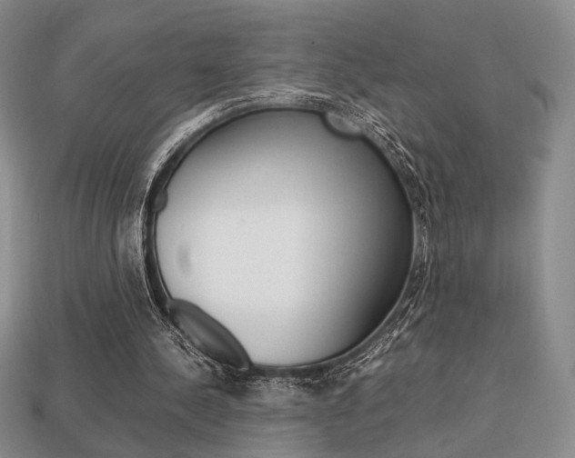 X0000113850244200909241011