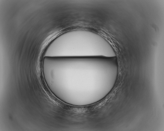 X0000113850245200909241011