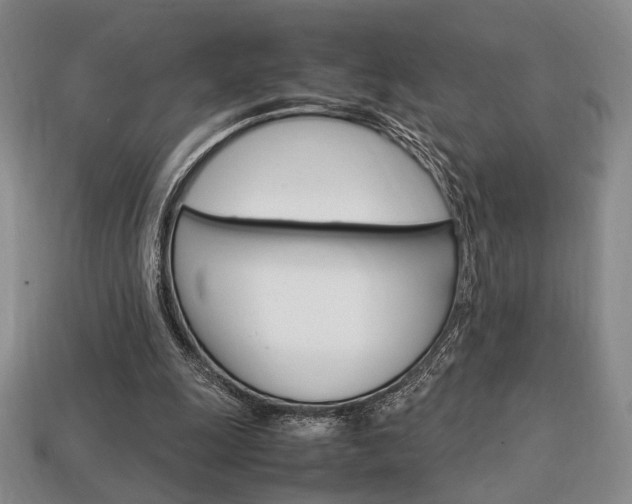 X0000113850247200909241011