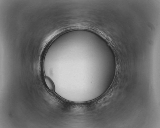 X0000113850248200909241011