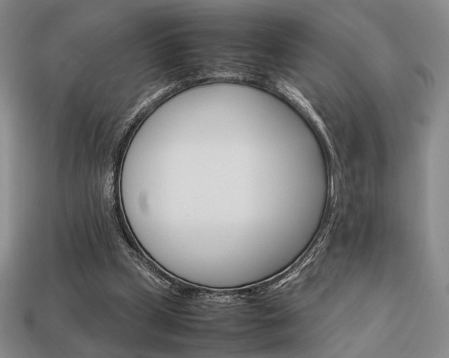 X0000113850249200909241011