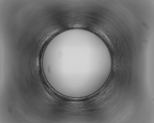 X0000113850251200909241011