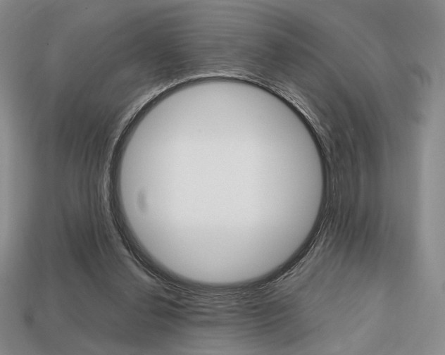 X0000113850252200909241011