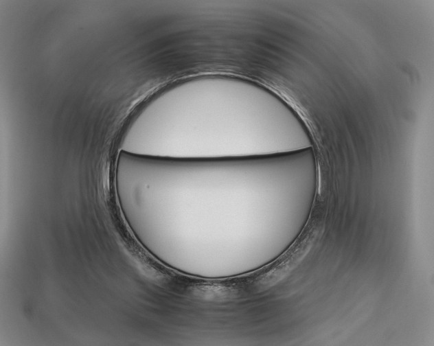 X0000113850253200909241011