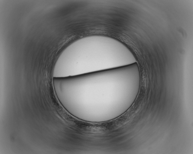 X0000113850255200909241011