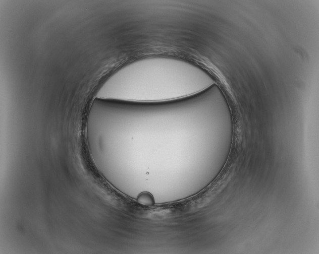 X0000113850257200909241011