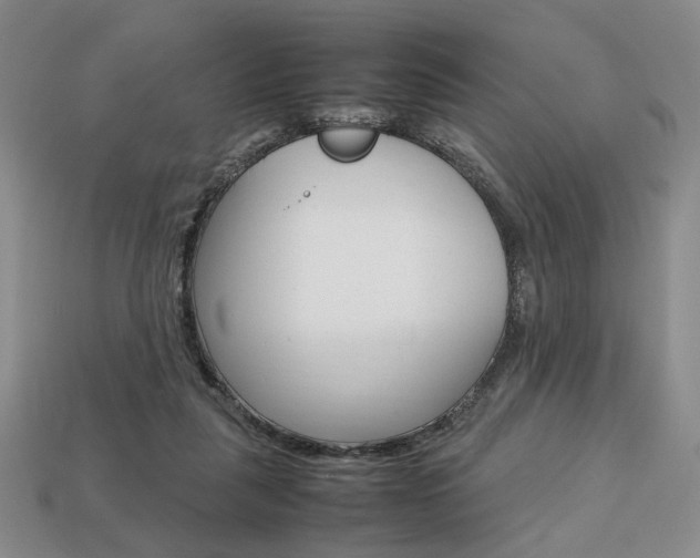 X0000113850259200909241011