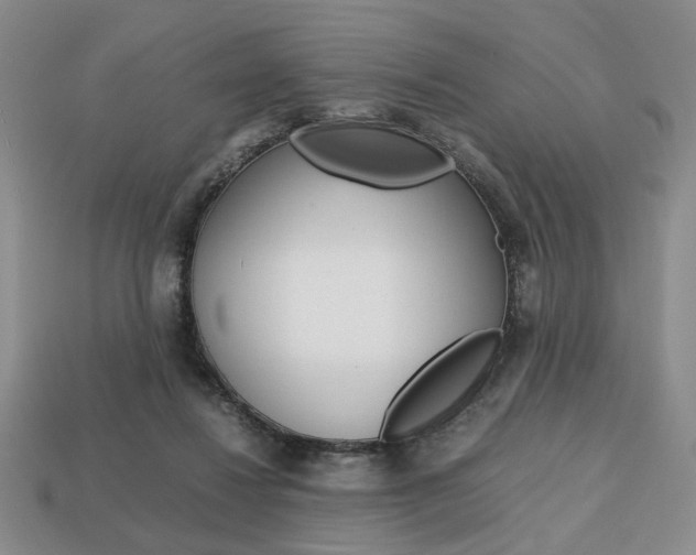 X0000113850260200909241011