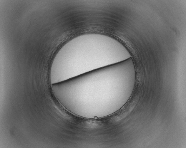 X0000113850261200909241011