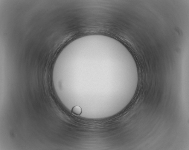 X0000113850264200909241011