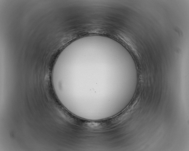 X0000113850265200909241011